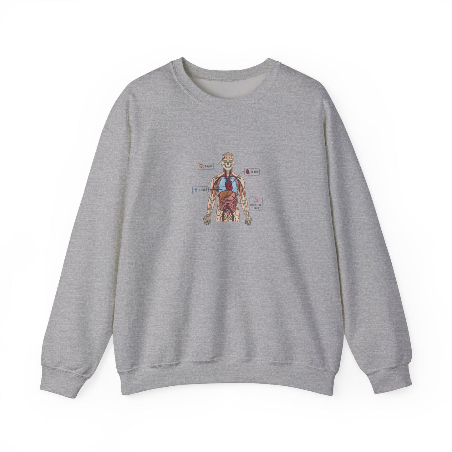 Anatomy Study Crewneck Sweatshirt — Human Anatomy Diagram for Medical Students