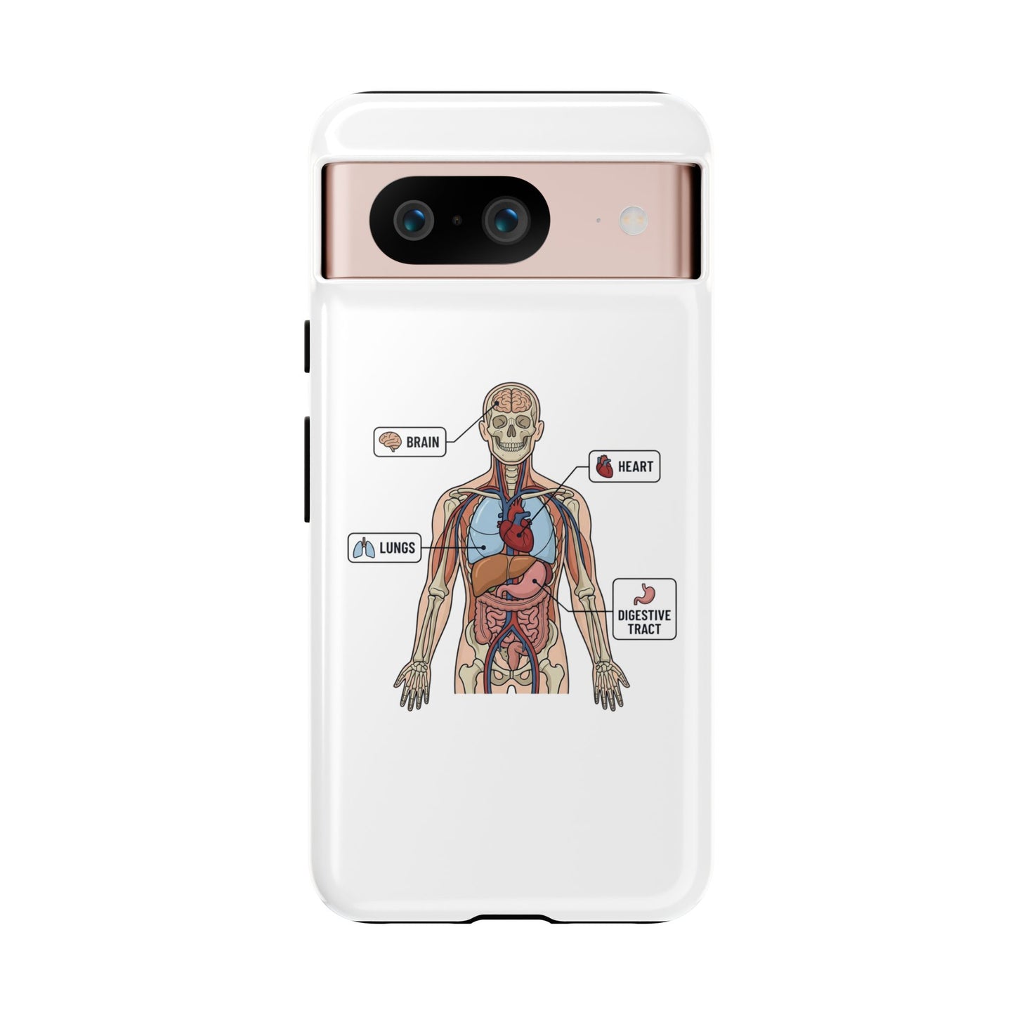Anatomy Case — Medical Student Human Anatomy Study Aid
