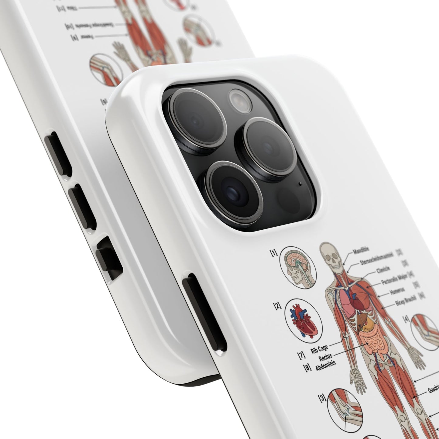 Anatomy Study Phone Case — Human Anatomy Diagram for Medical Students