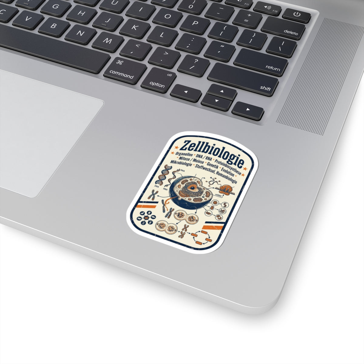 Cell Biology Diagram Kiss-Cut Sticker | NY Basketball City Pride