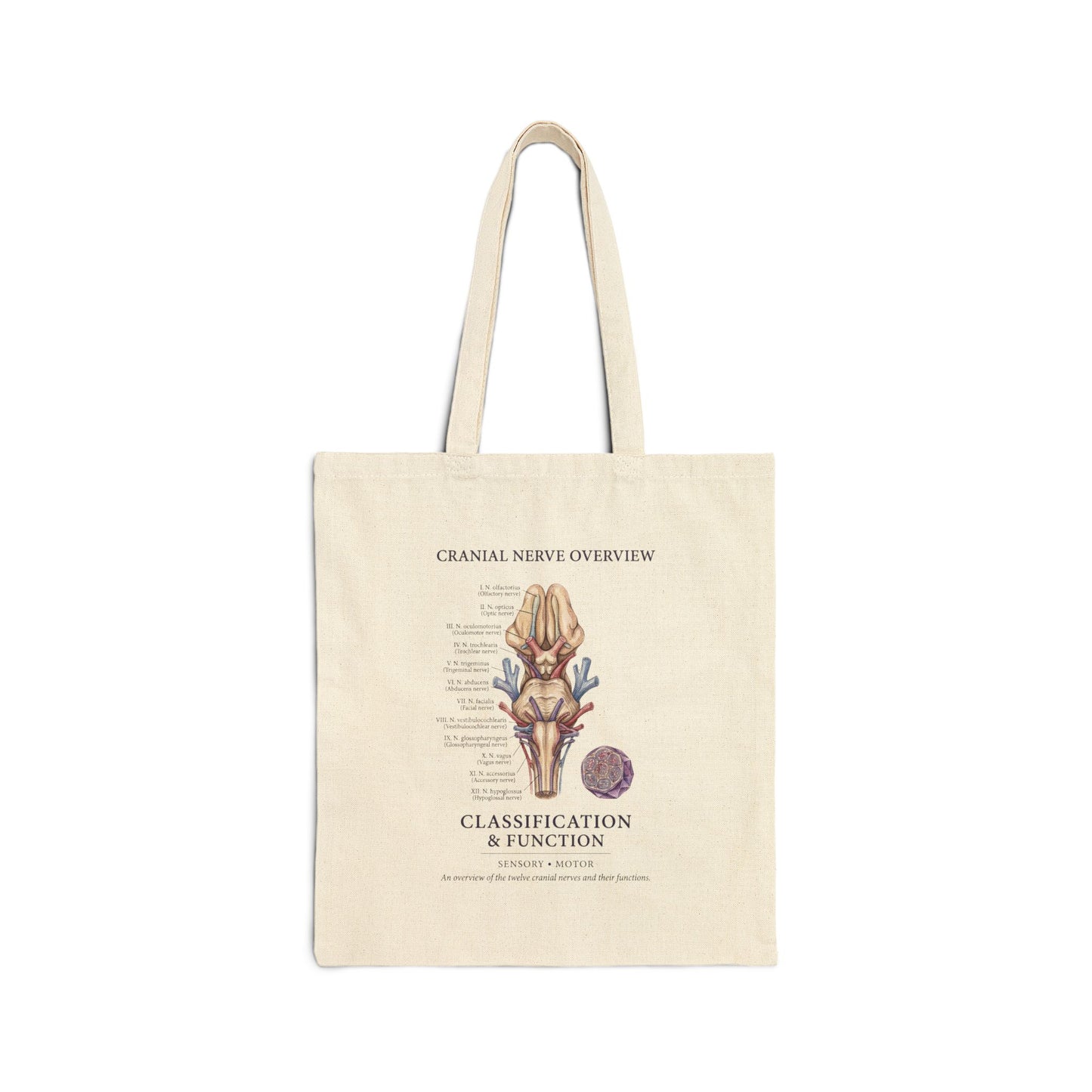 Birth Flower Botanical Tote Bag | Personalized Birth Month Floral Illustration