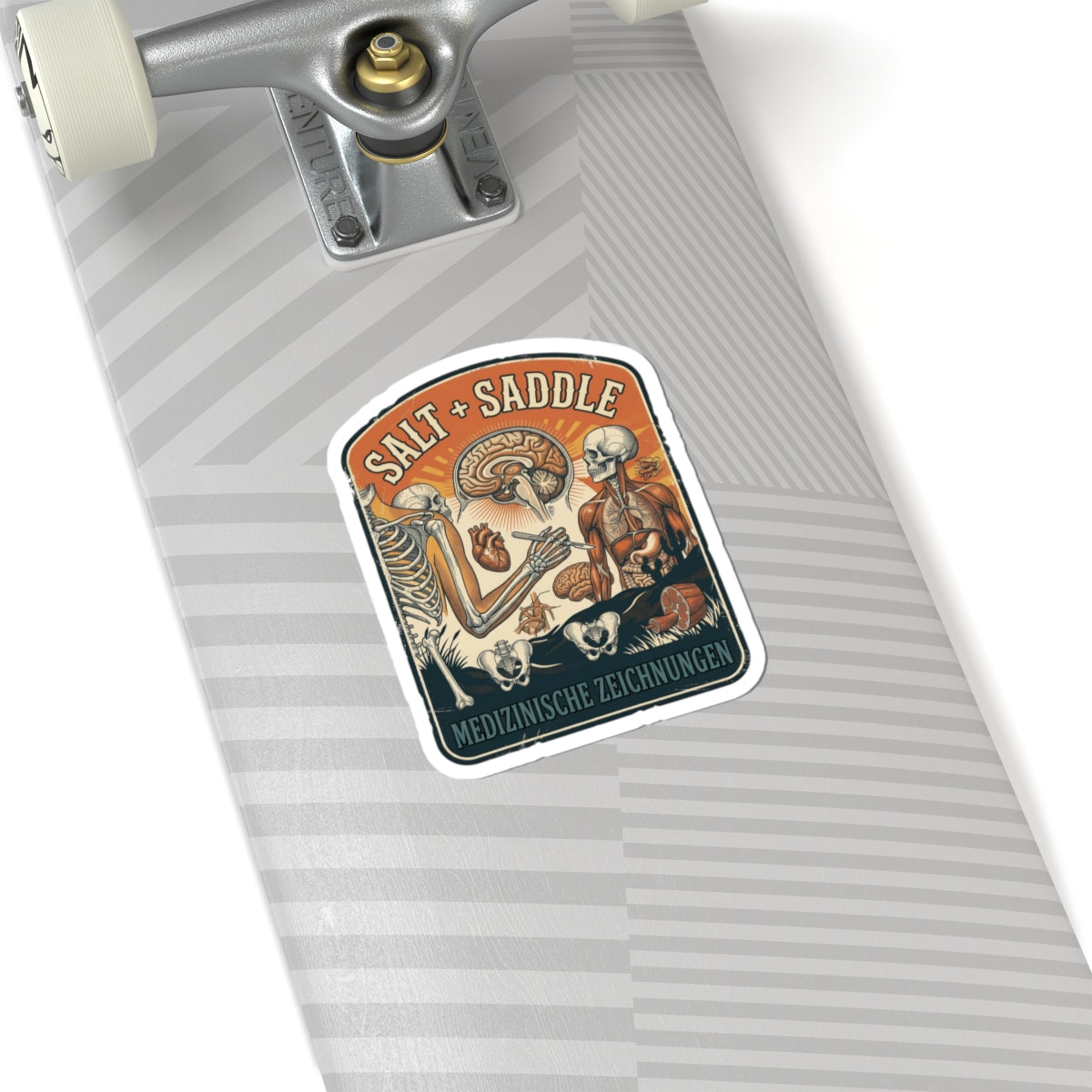 Salt & Saddle Anatomy Sticker | Country Aesthetic Western Cowgirl