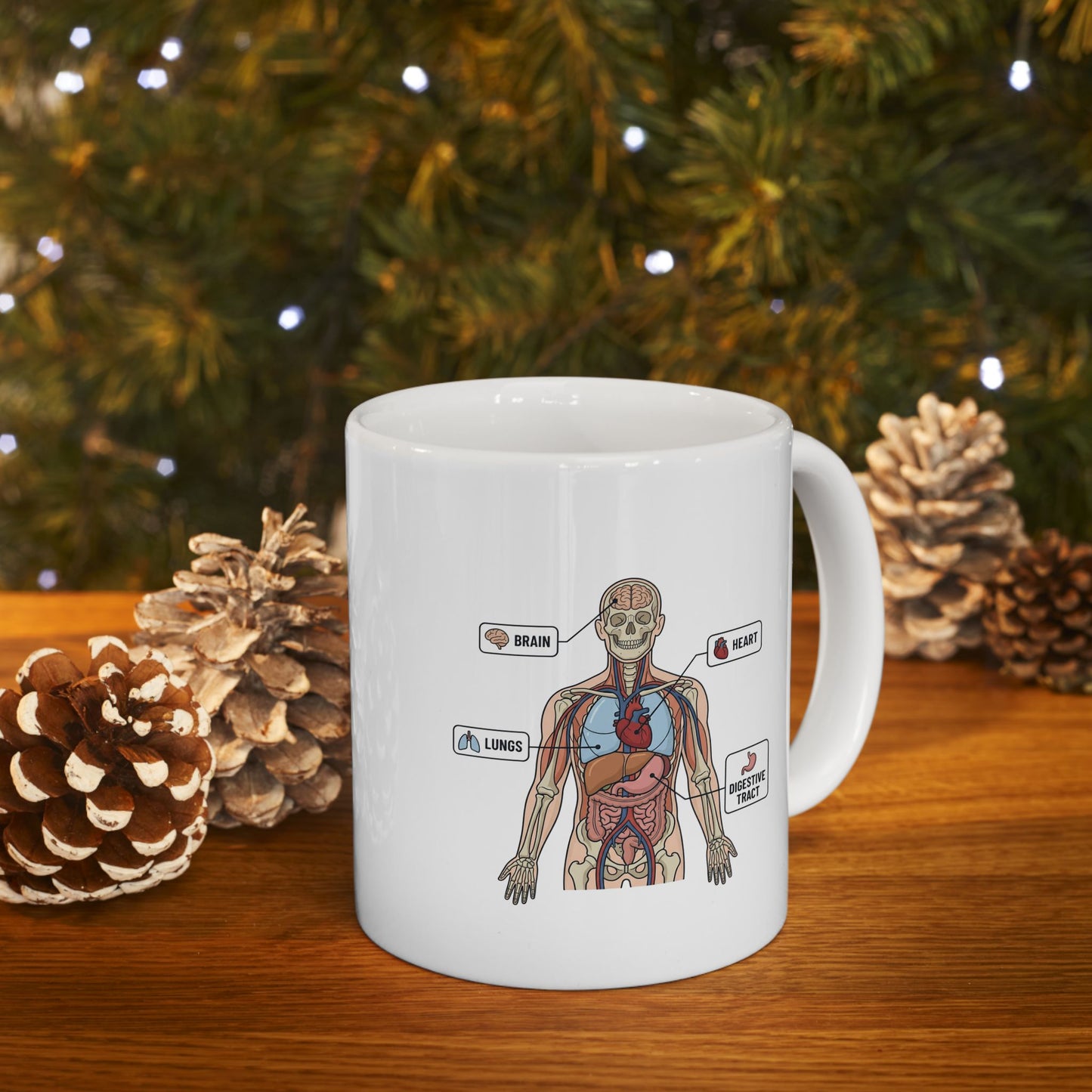 Anatomy Study Ceramic Mug — Human Anatomy for Medical Students (11oz, 15oz)