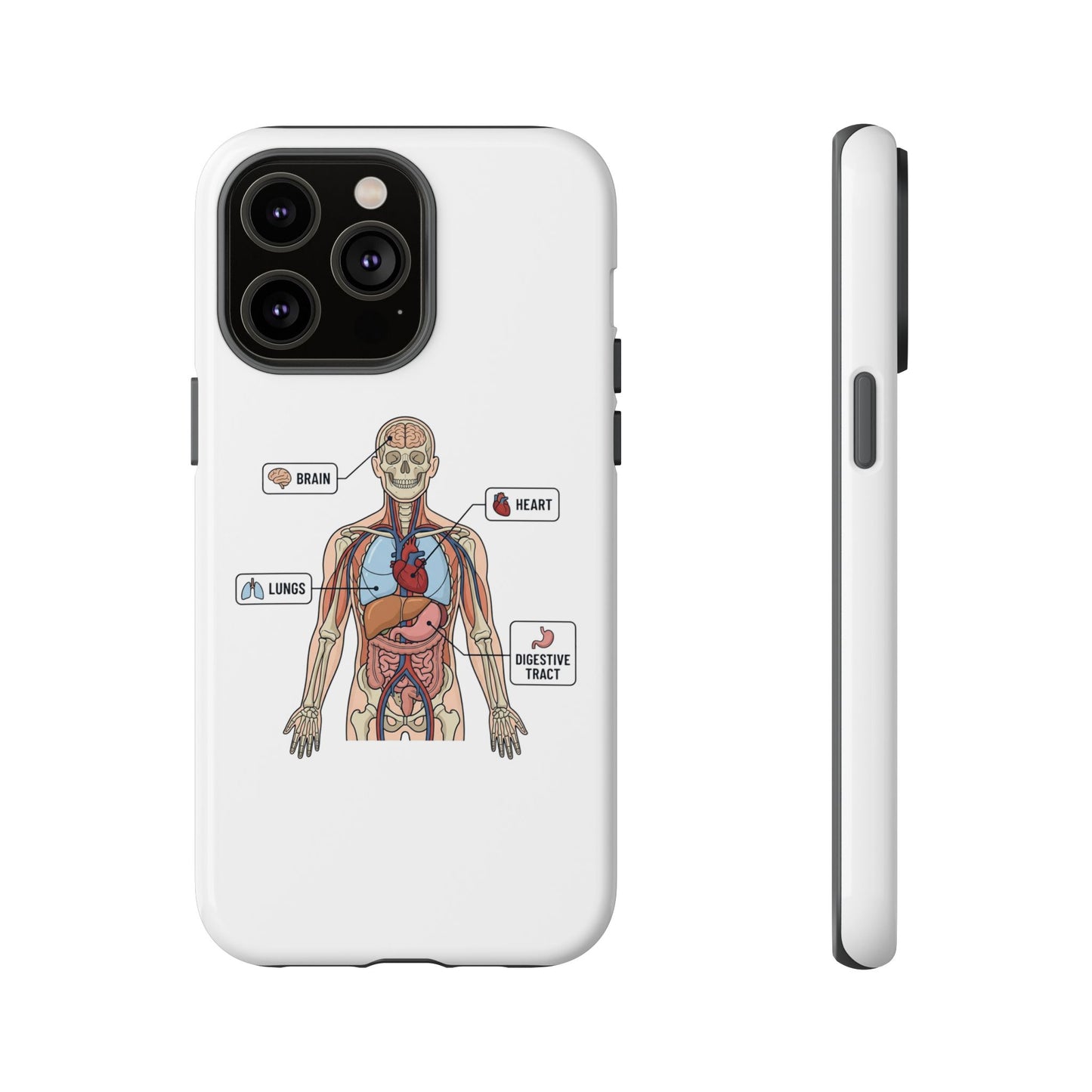 Anatomy Case — Medical Student Human Anatomy Study Aid
