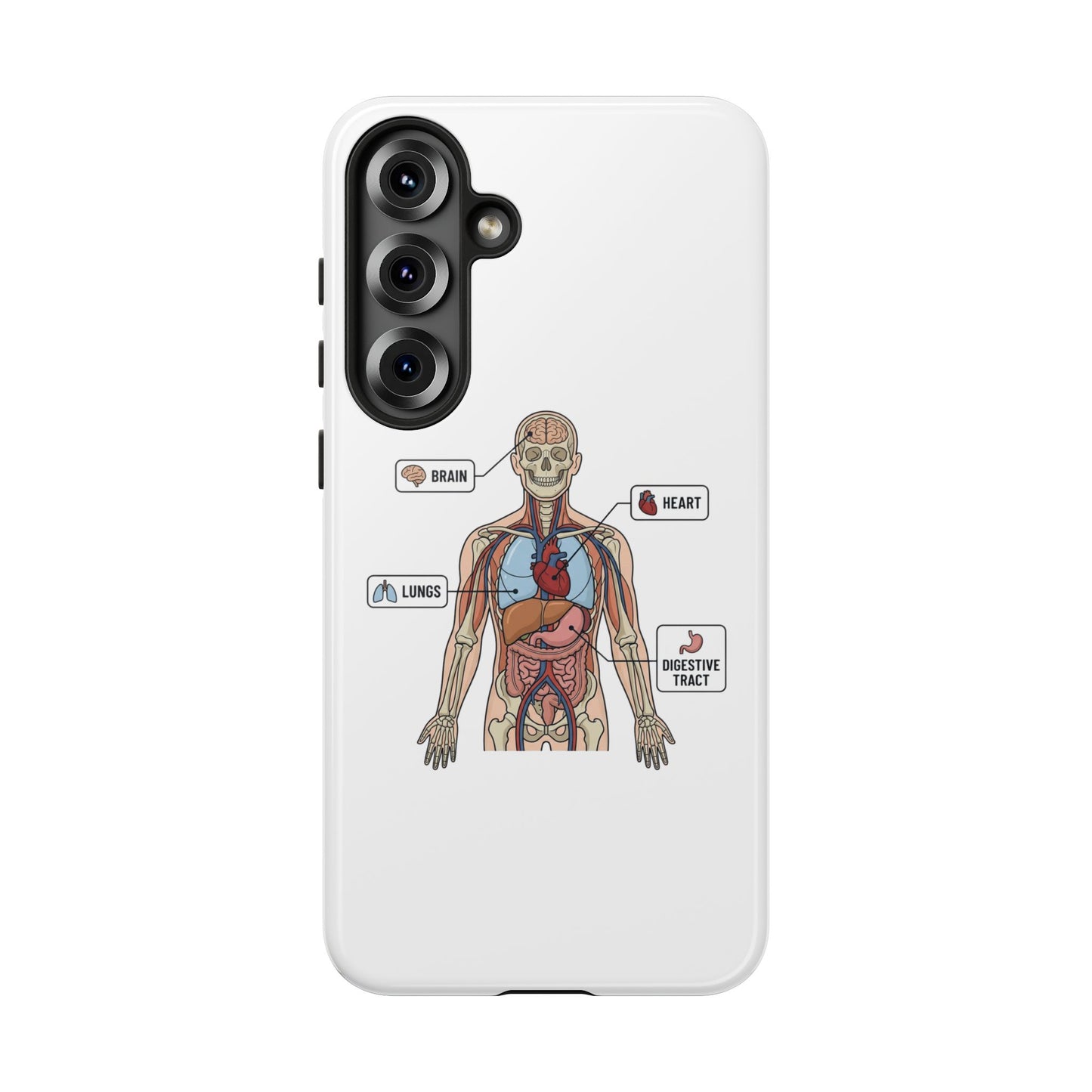 Anatomy Case — Medical Student Human Anatomy Study Aid