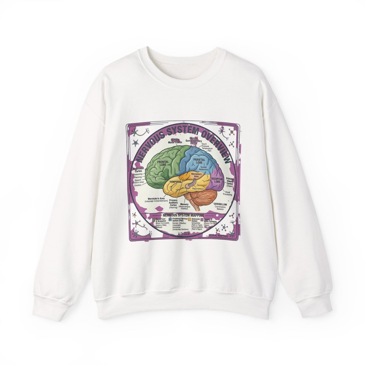 250th Anniversary Patriotic Brain Diagram Sweatshirt | 4th of July Centennial Trend