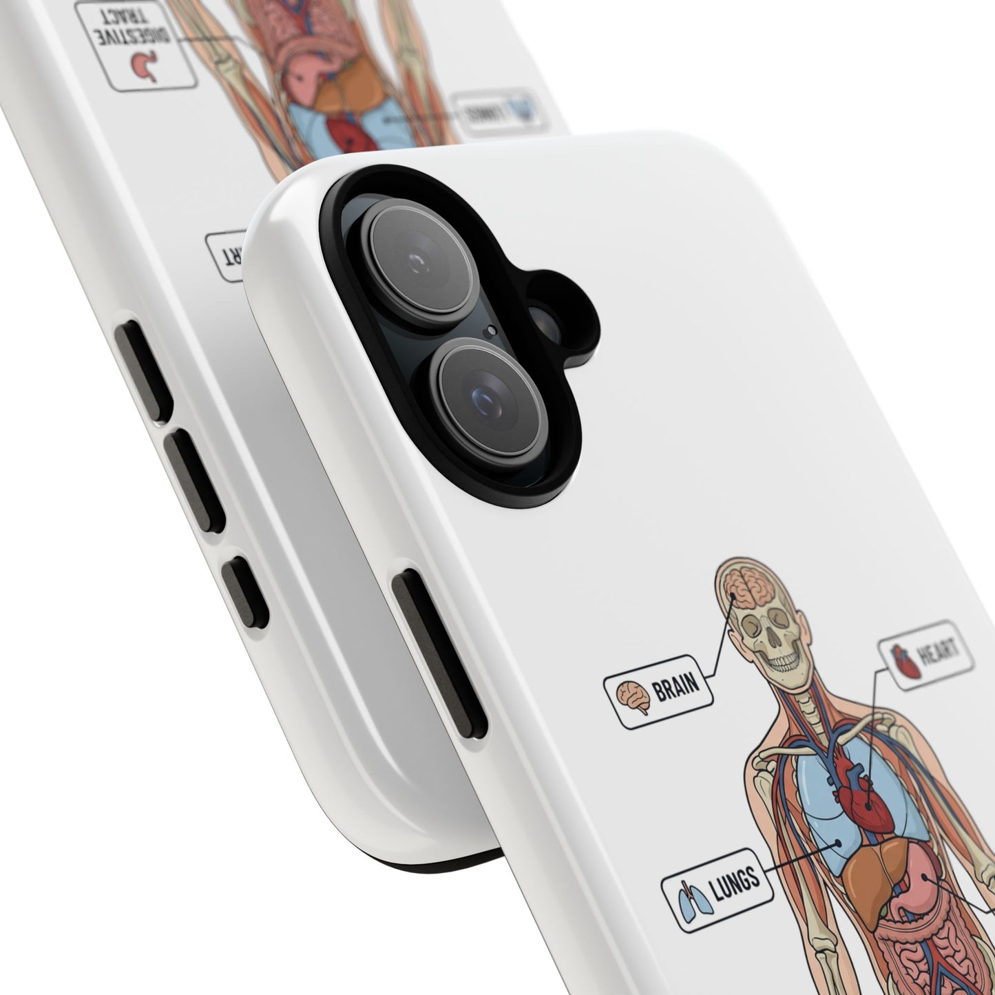 Anatomy Case — Medical Student Human Anatomy Study Aid