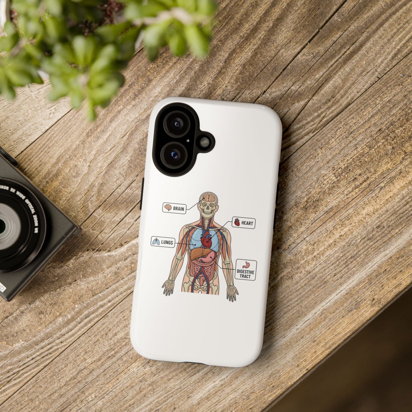 Anatomy Case — Medical Student Human Anatomy Study Aid