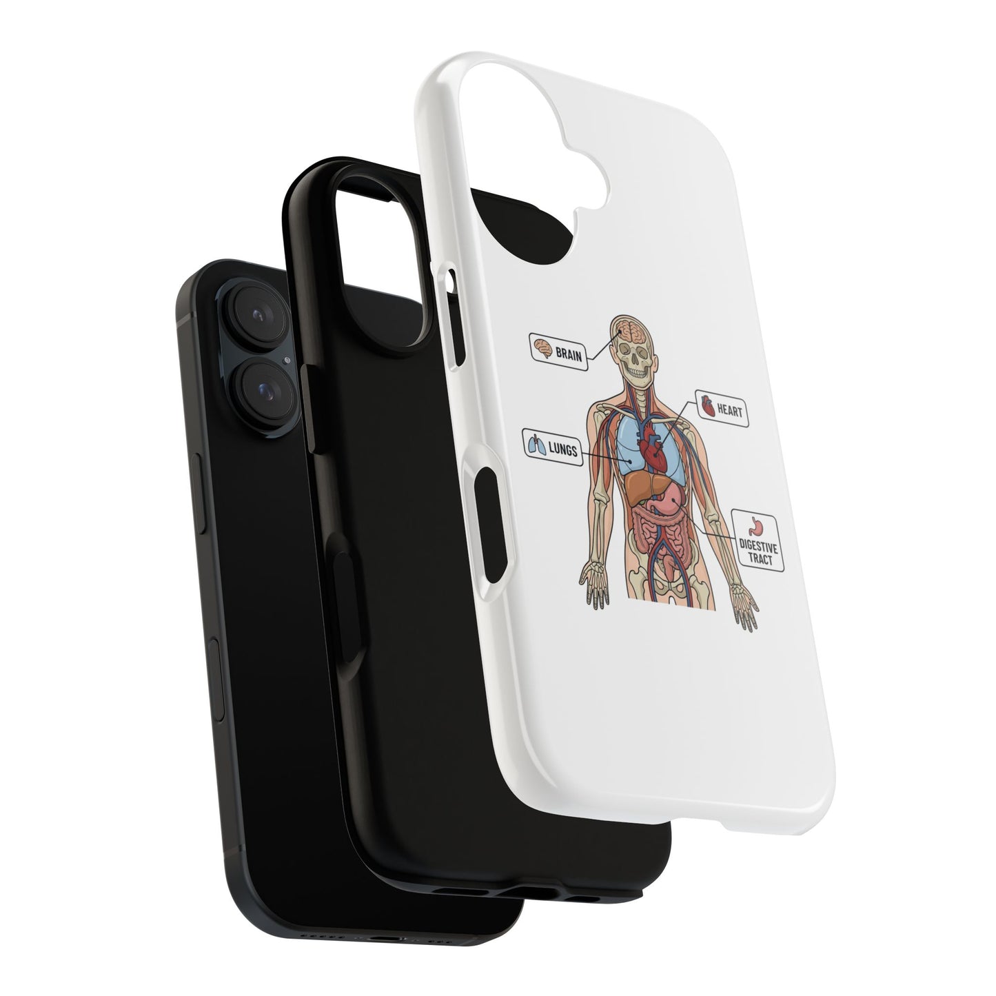 Anatomy Case — Medical Student Human Anatomy Study Aid