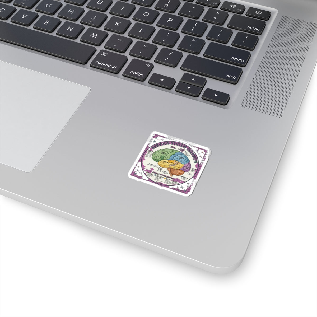 Nervous System Brain Diagram Sticker | 250th 4th of July Patriotic Milestone