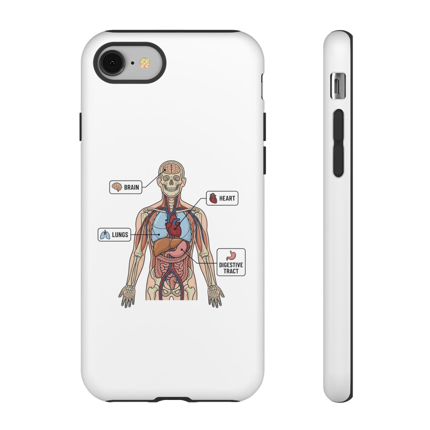 Anatomy Case — Medical Student Human Anatomy Study Aid