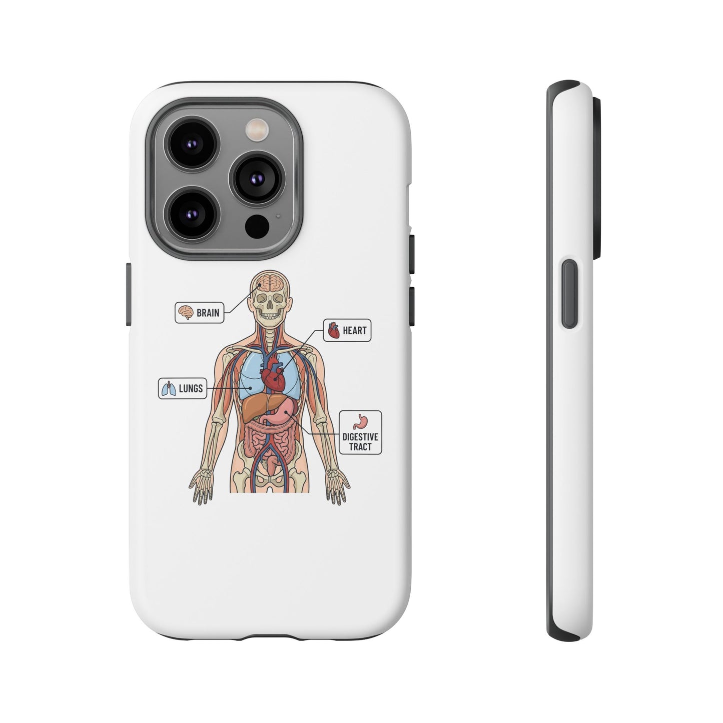 Anatomy Case — Medical Student Human Anatomy Study Aid