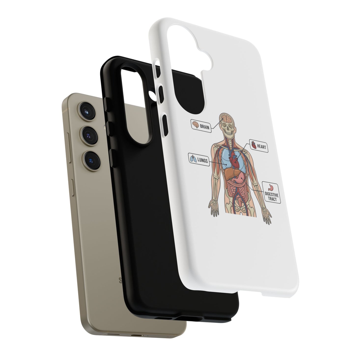 Anatomy Case — Medical Student Human Anatomy Study Aid
