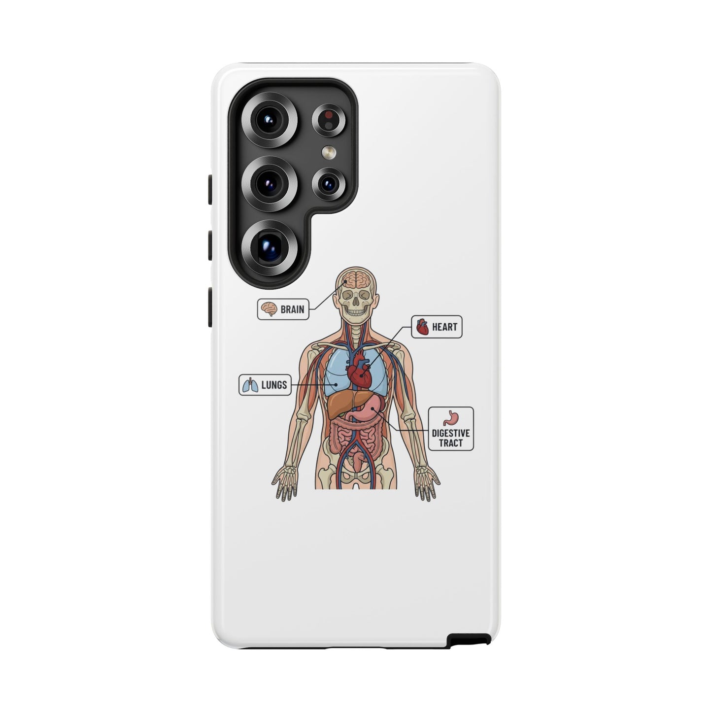 Anatomy Case — Medical Student Human Anatomy Study Aid