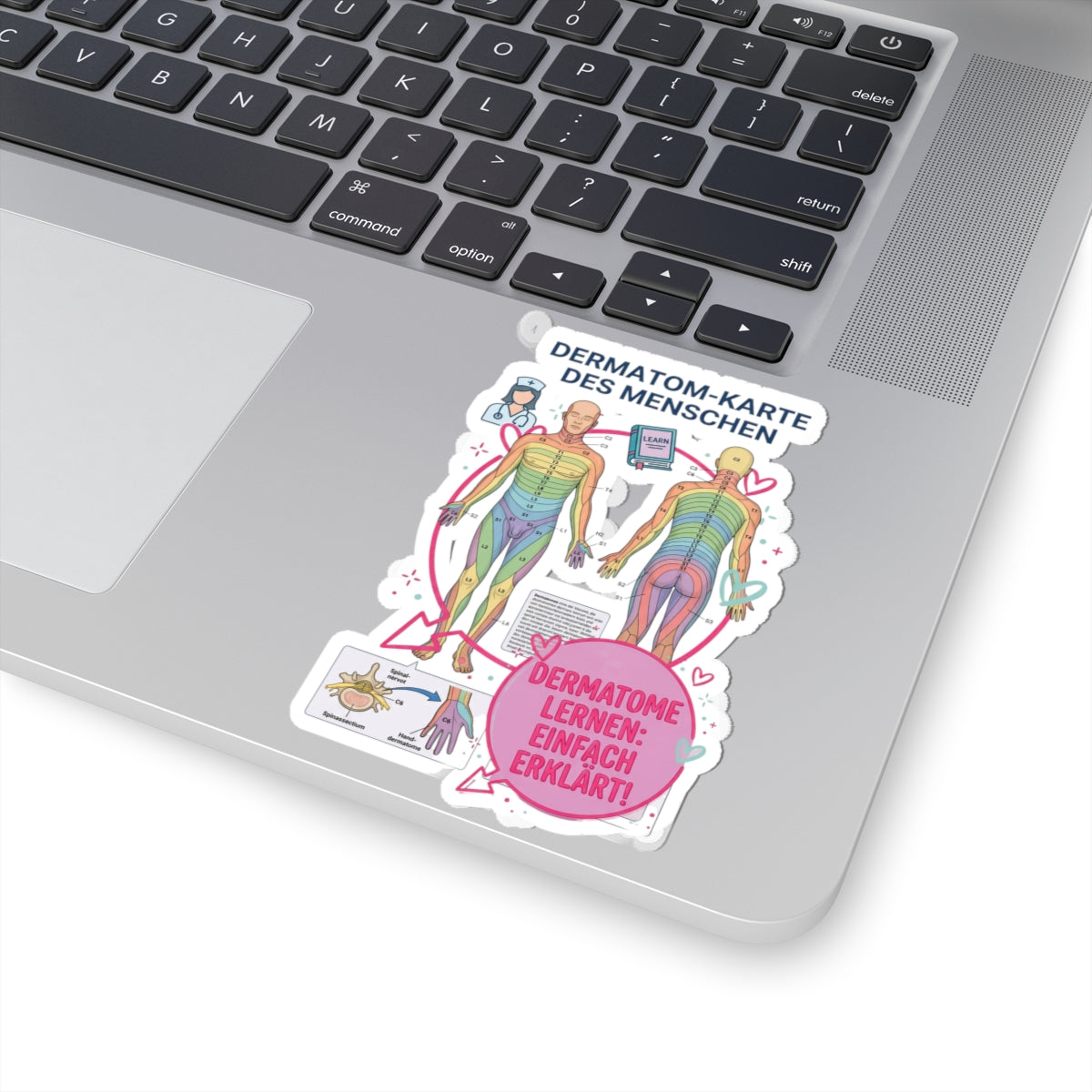 Dermatomes Anatomy Sticker | Kiss-Cut, Medical Chart, Learning Decal