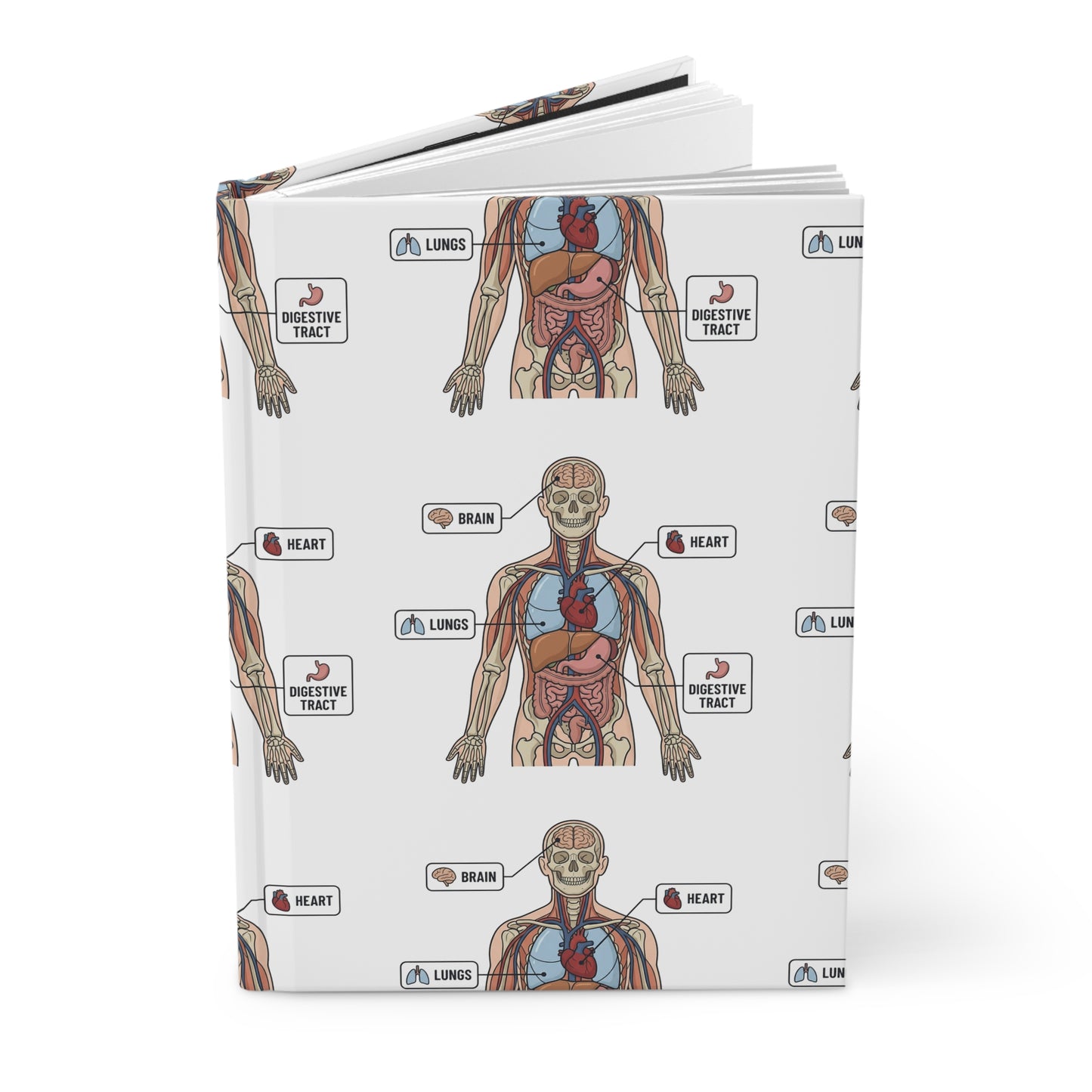 Human Anatomy Hardcover Journal — Medical Student Anatomy Notebook