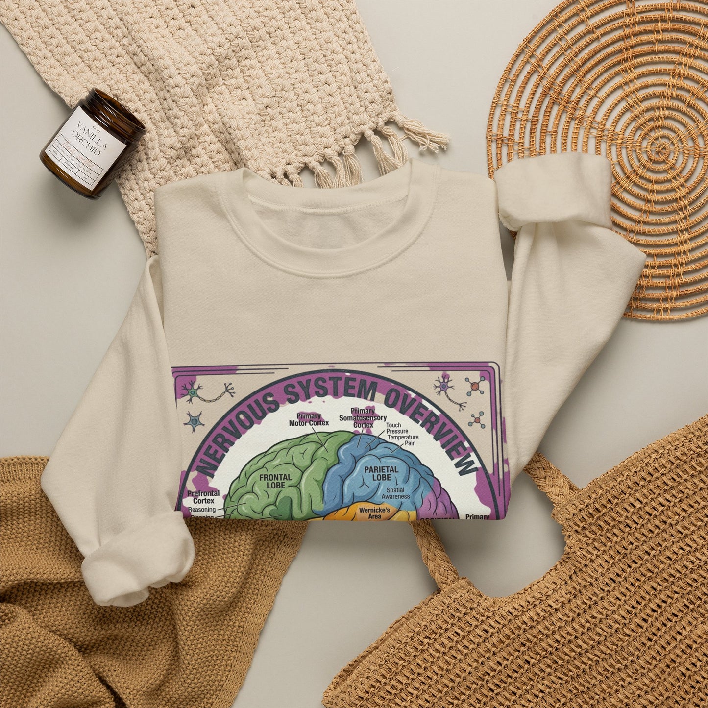 250th Anniversary Patriotic Brain Diagram Sweatshirt | 4th of July Centennial Trend