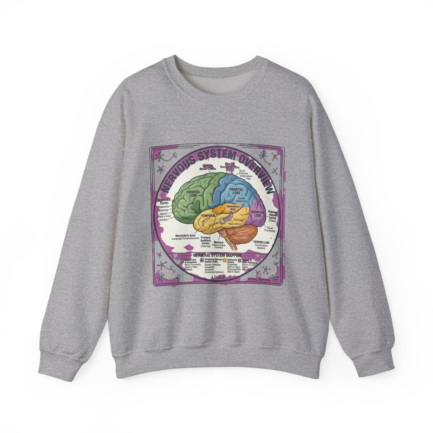 250th Anniversary Patriotic Brain Diagram Sweatshirt | 4th of July Centennial Trend