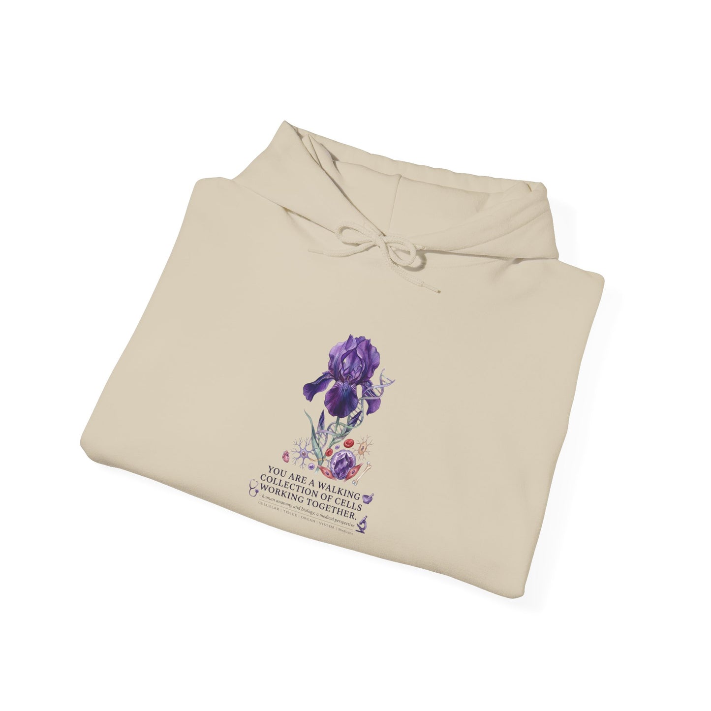 Iris Birth Flower Hoodie | Botanical Birth Month, Meaning & Floral Illustration