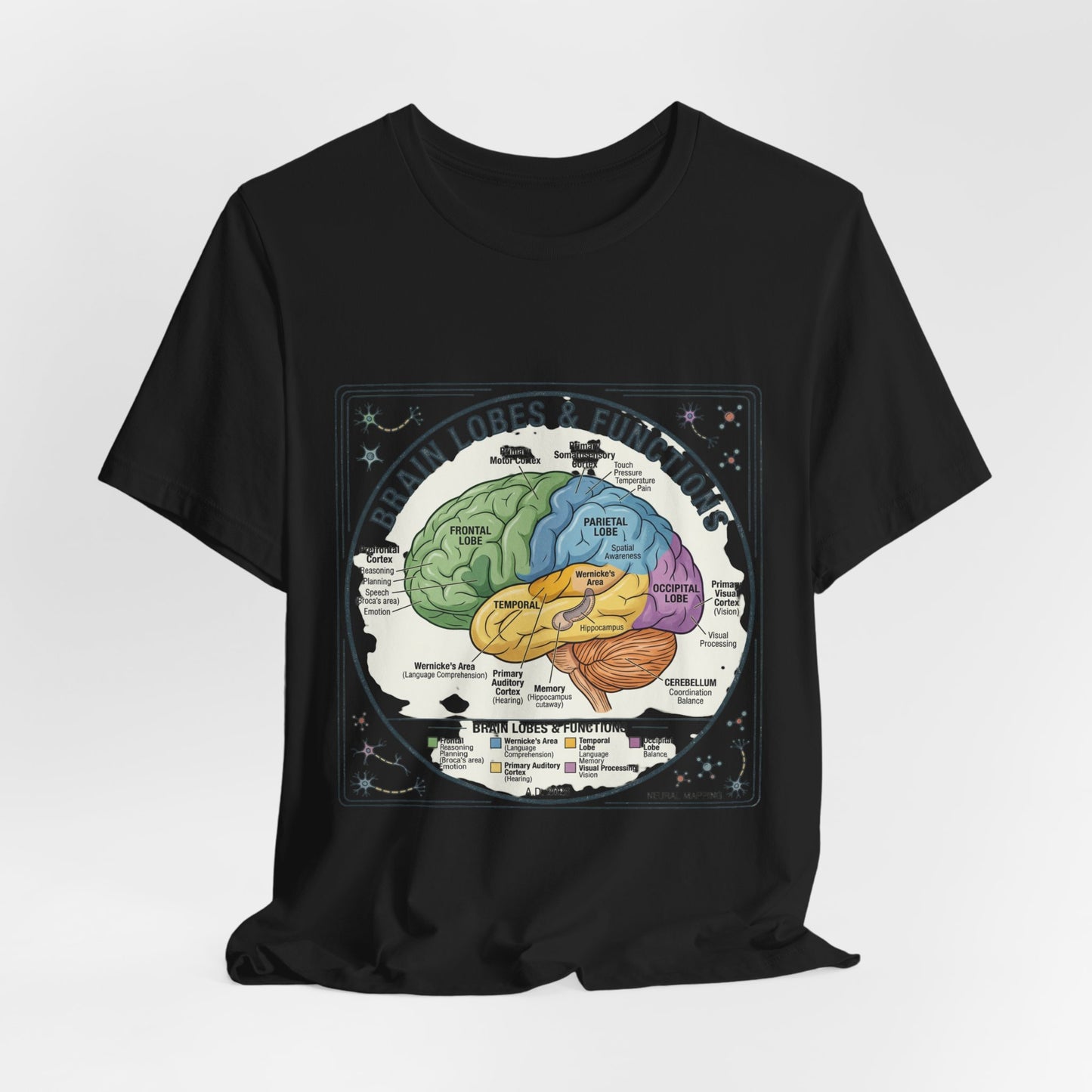Brain Lobes & Functions T-Shirt | 250th Fourth of July, Patriotic Milestone