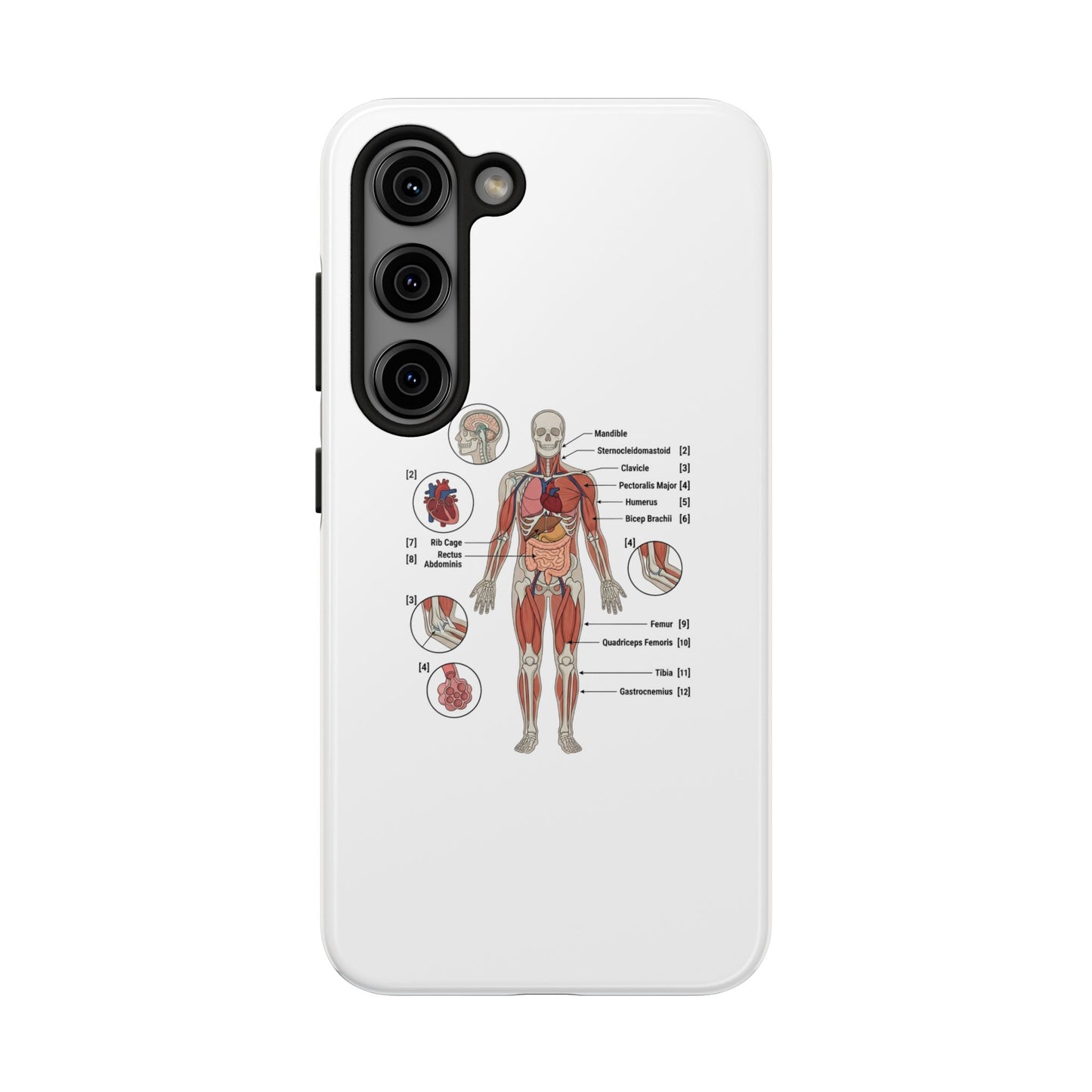 Anatomy Study Phone Case — Human Anatomy Diagram for Medical Students
