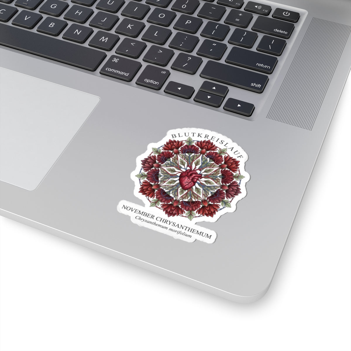 November Chrysanthemum Sticker | Birth Flower, Botanical Illustration