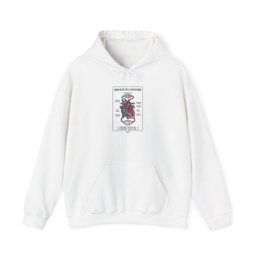 250th Anniversary Patriotic Anatomy Heart Hoodie | 4th of July Independence Sweatshirt