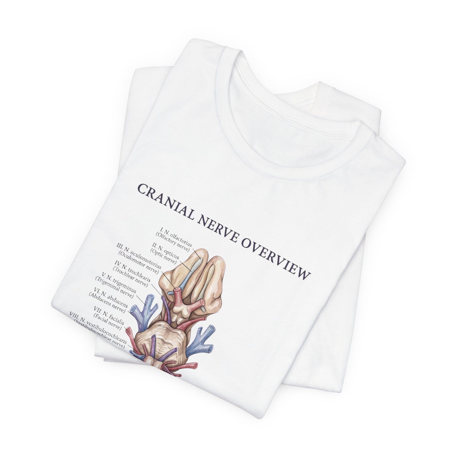 Cranial Nerve Anatomy Tee | Botanical Medical Illustration, Birth Flower Style