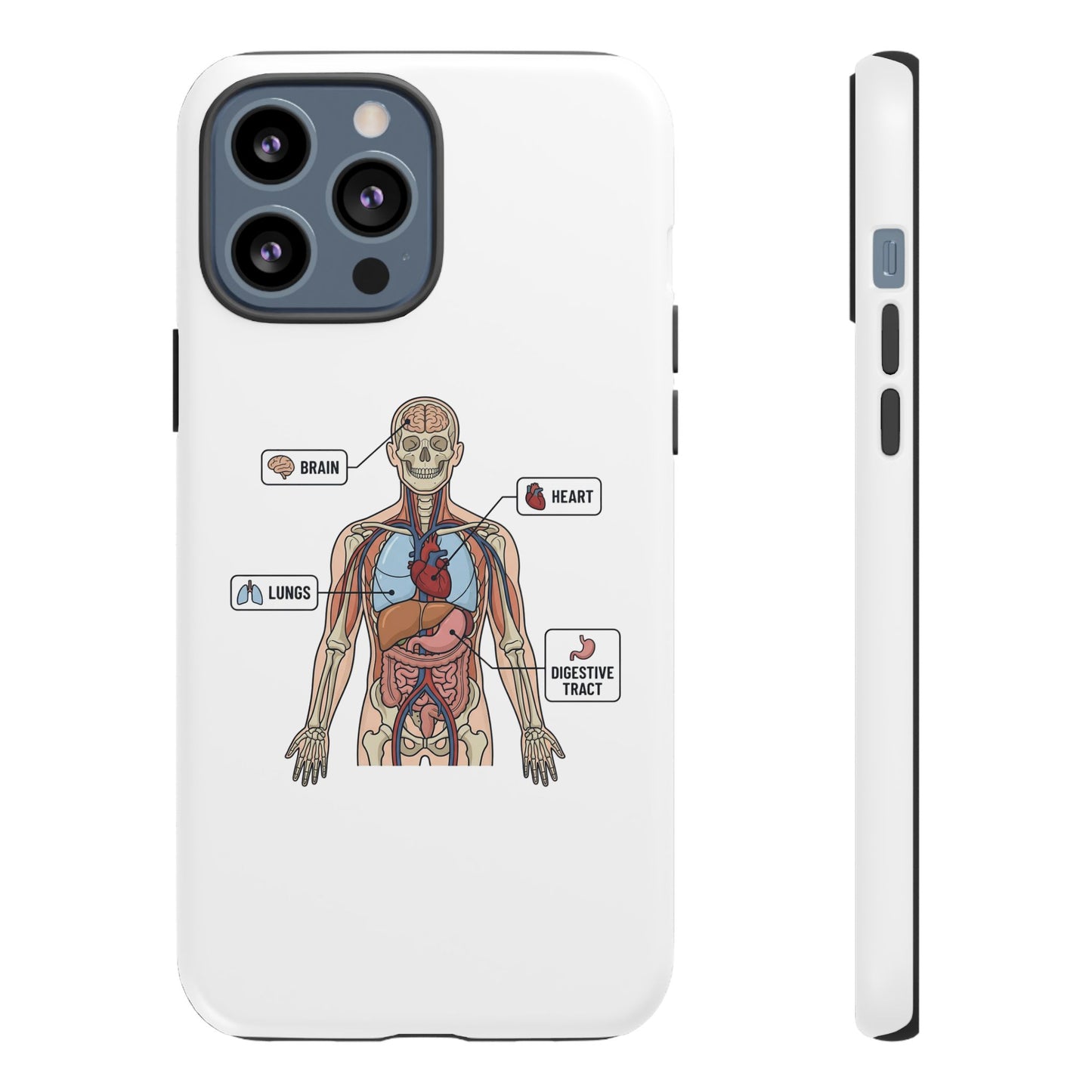 Anatomy Case — Medical Student Human Anatomy Study Aid