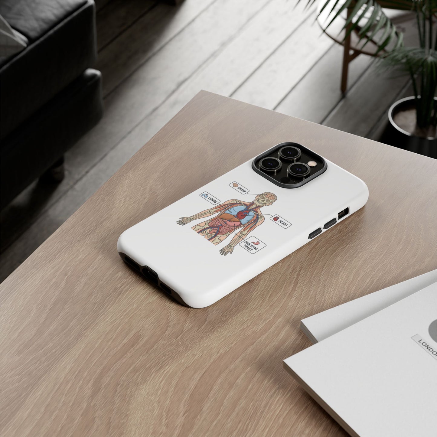 Anatomy Case — Medical Student Human Anatomy Study Aid