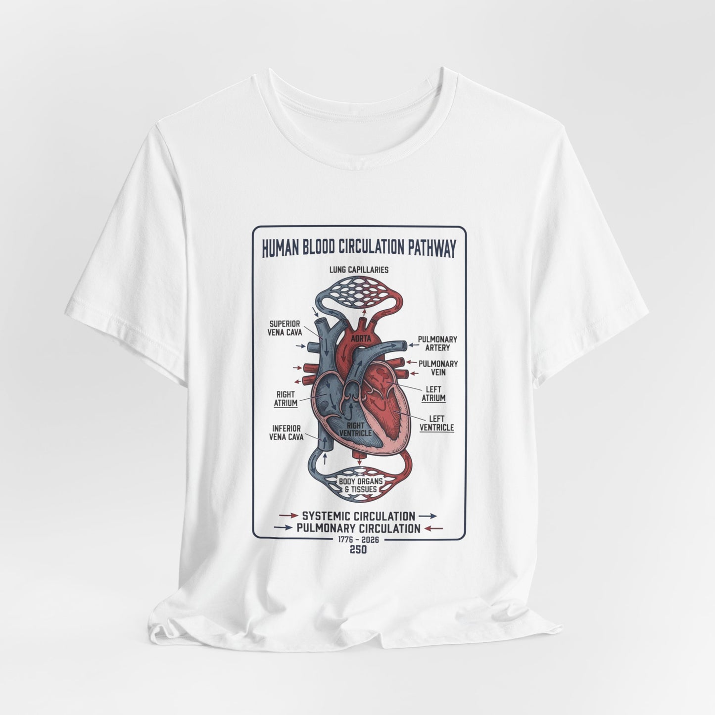 Human Blood Circulation Diagram Tee | 250th 4th of July Patriotic Anatomy