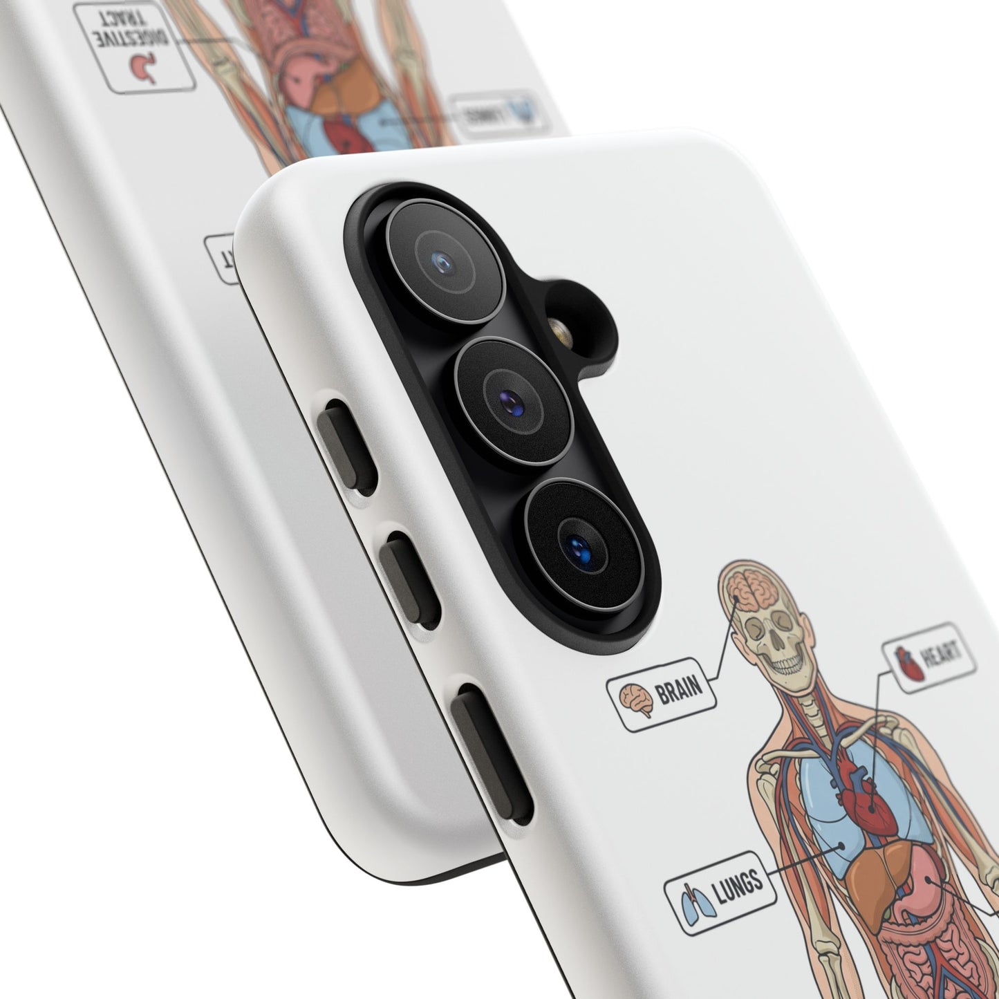 Anatomy Case — Medical Student Human Anatomy Study Aid