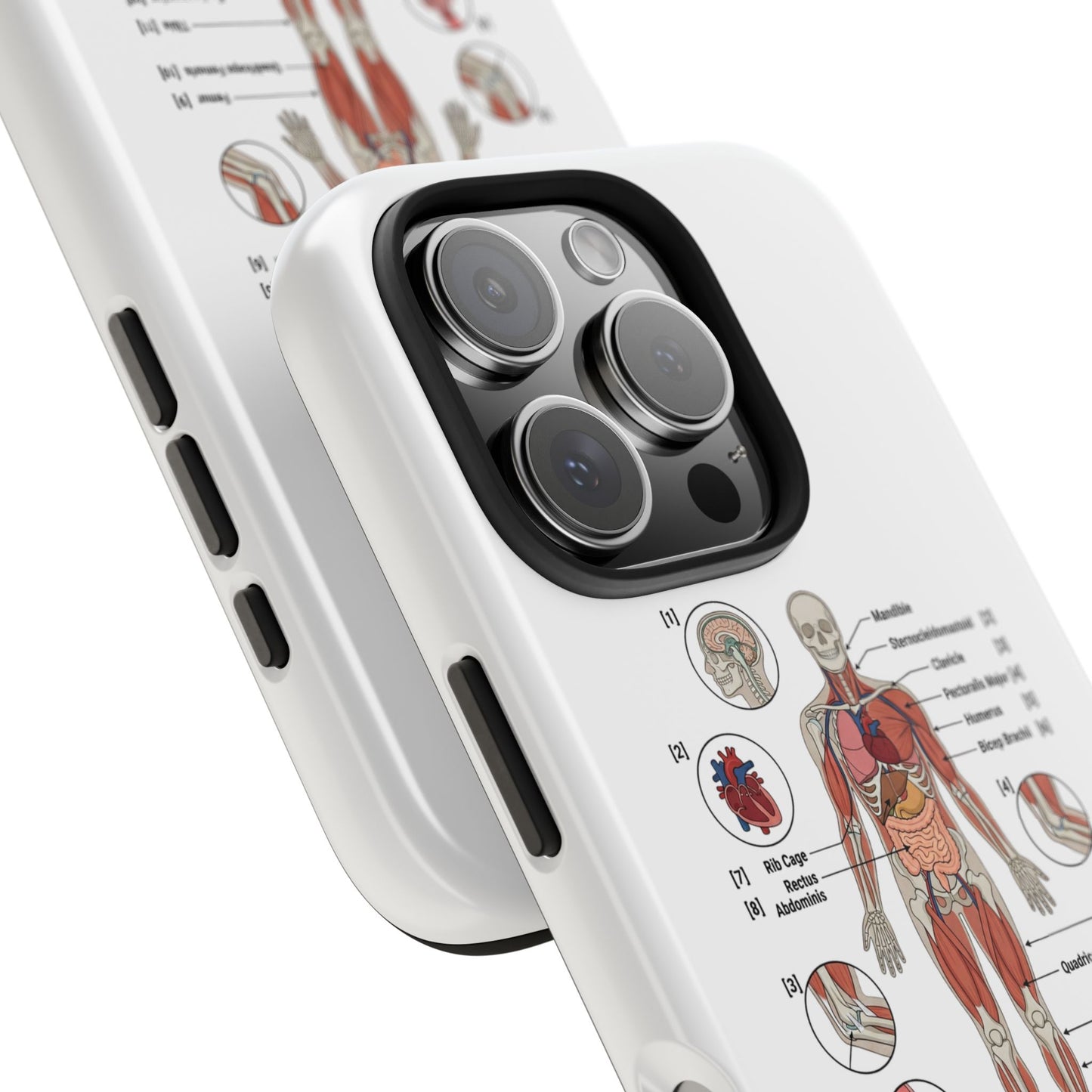 Anatomy Study Phone Case — Human Anatomy Diagram for Medical Students