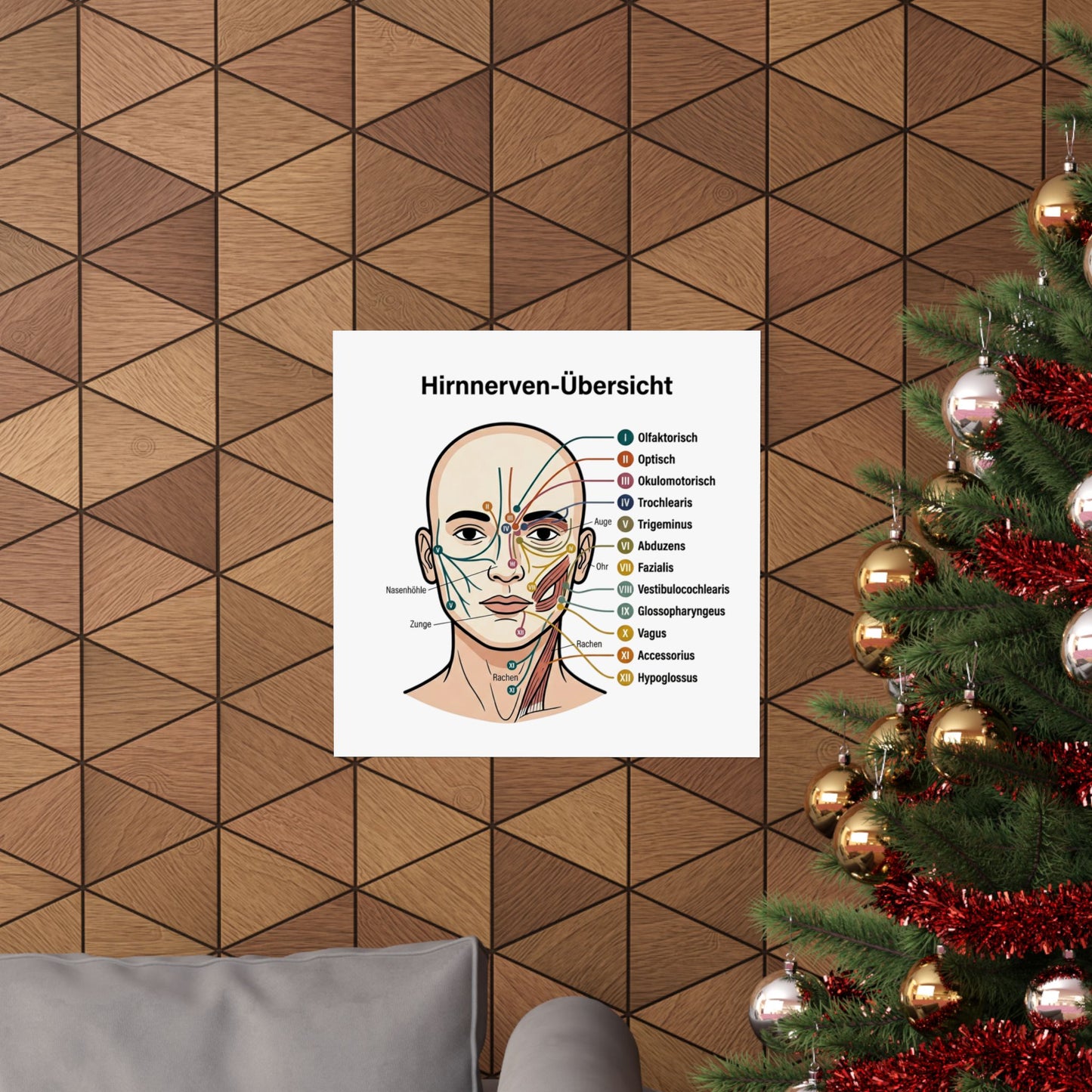 Anatomy Poster — Hirnnerven-Übersicht Matte Vertical Poster