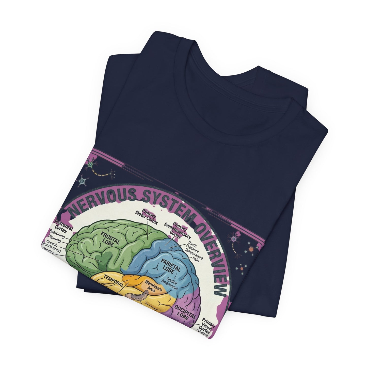 Brain Anatomy Diagram Tee | 250th Independence Day, Patriotic Milestone