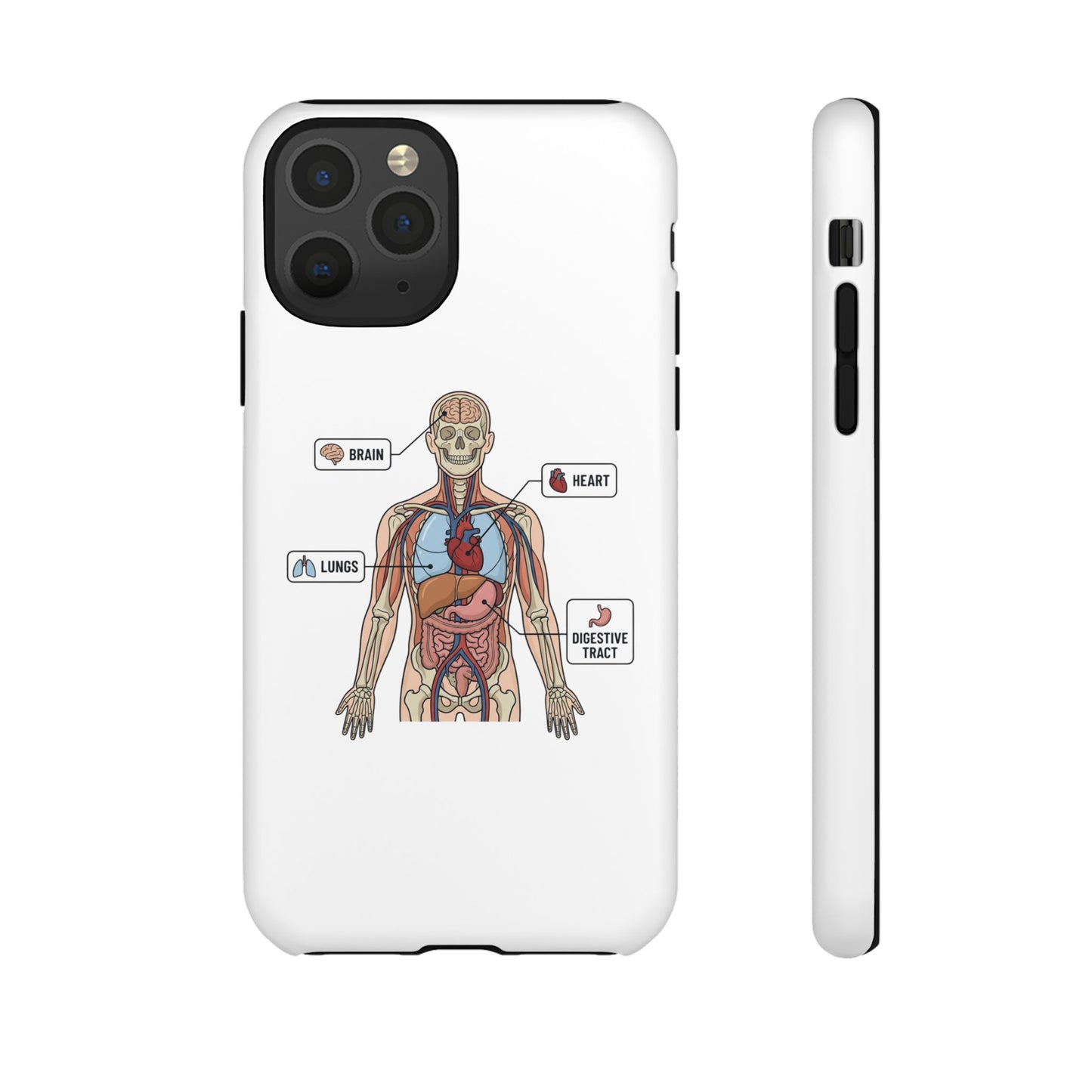 Anatomy Case — Medical Student Human Anatomy Study Aid