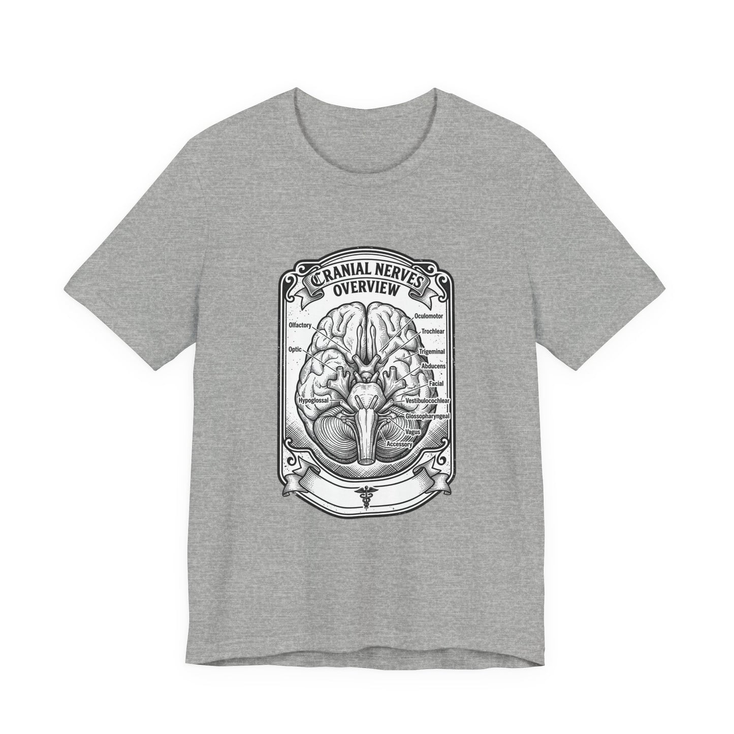 Cranial Nerves Illustration Tee | People Over Profit, Values-Led Apparel