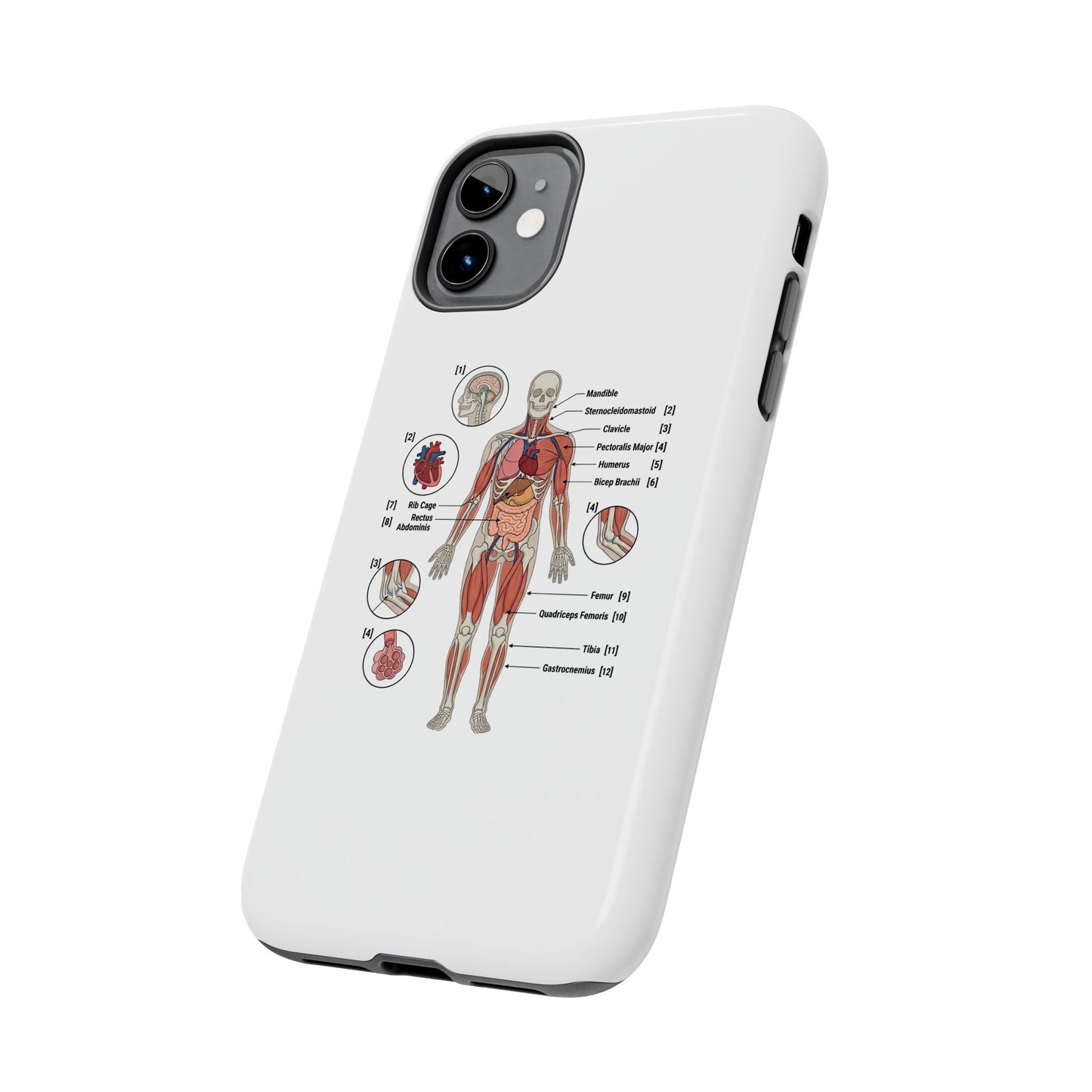 Anatomy Study Phone Case — Human Anatomy Diagram for Medical Students