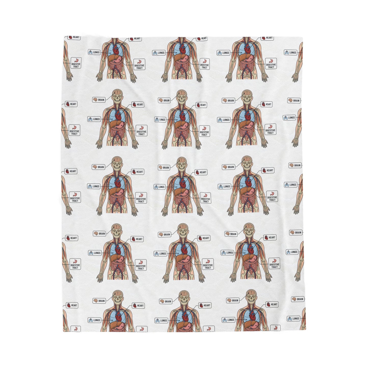 Anatomy Study Velveteen Plush Blanket — Human Anatomy Diagram for Medical Students