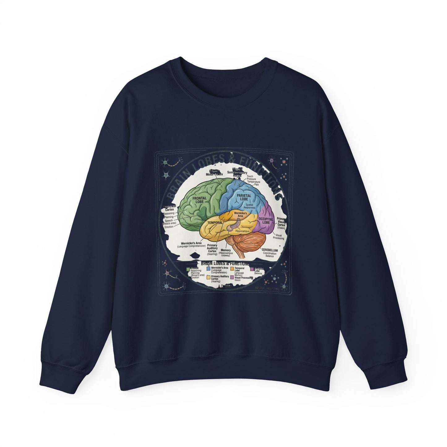 Brain Lobes Diagram Sweatshirt | 250th 4th of July Patriotic Milestone