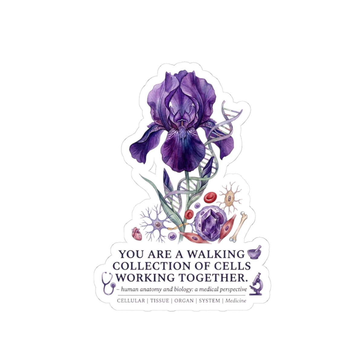 Iris Birth Flower Sticker | Botanical Birth Month, Educational Floral Kiss-Cut