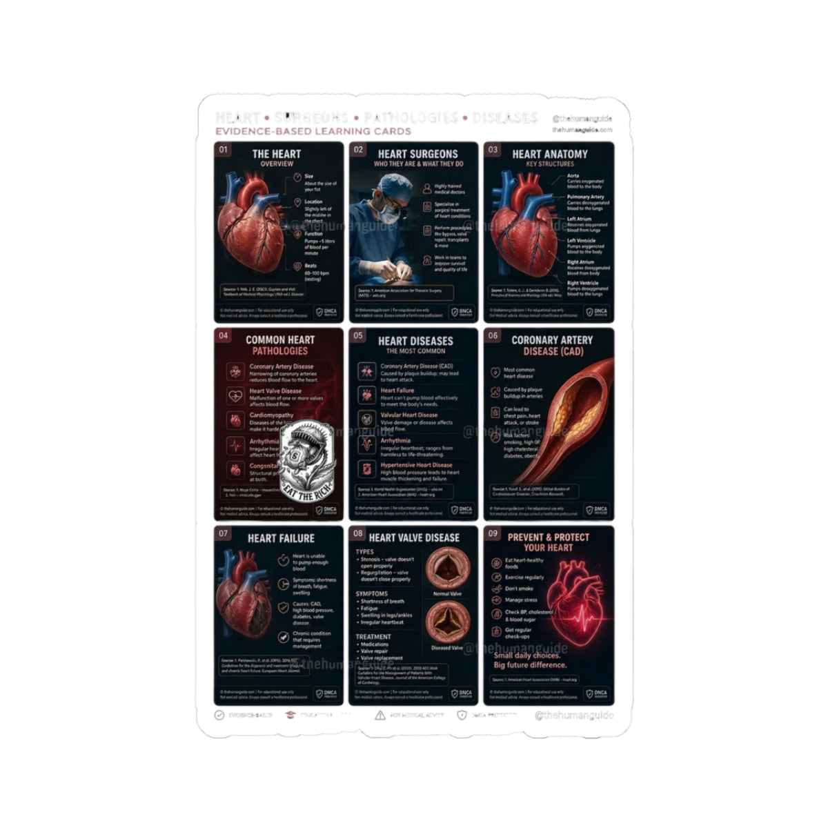 People Over Profit heart anatomy sticker | Values-Led, Activist Kiss-Cut Sticker