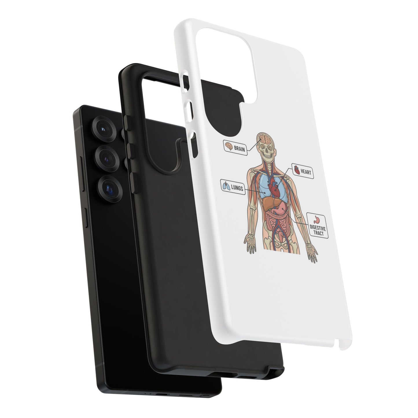 Anatomy Case — Medical Student Human Anatomy Study Aid