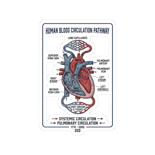 250th Anniversary Patriotic Heart Diagram Sticker | 4th of July Commemorative