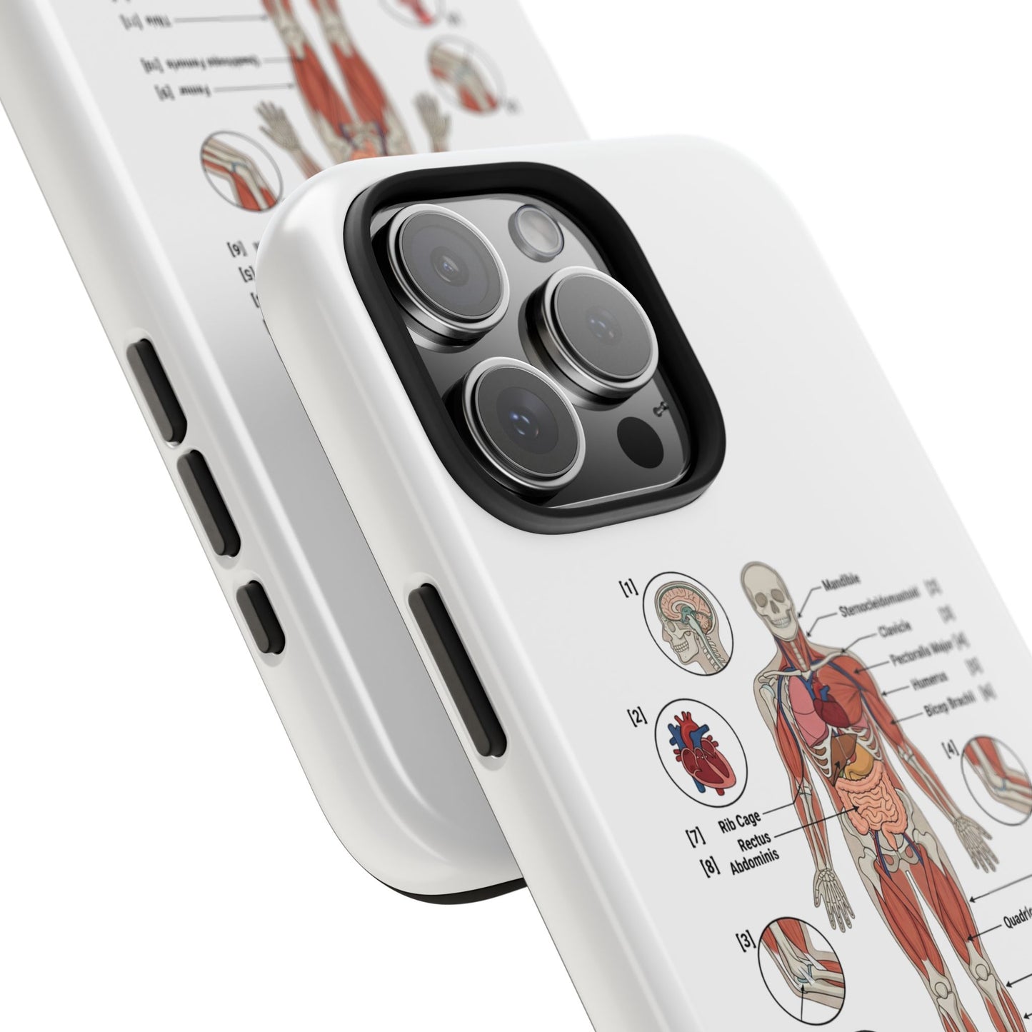Anatomy Study Phone Case — Human Anatomy Diagram for Medical Students