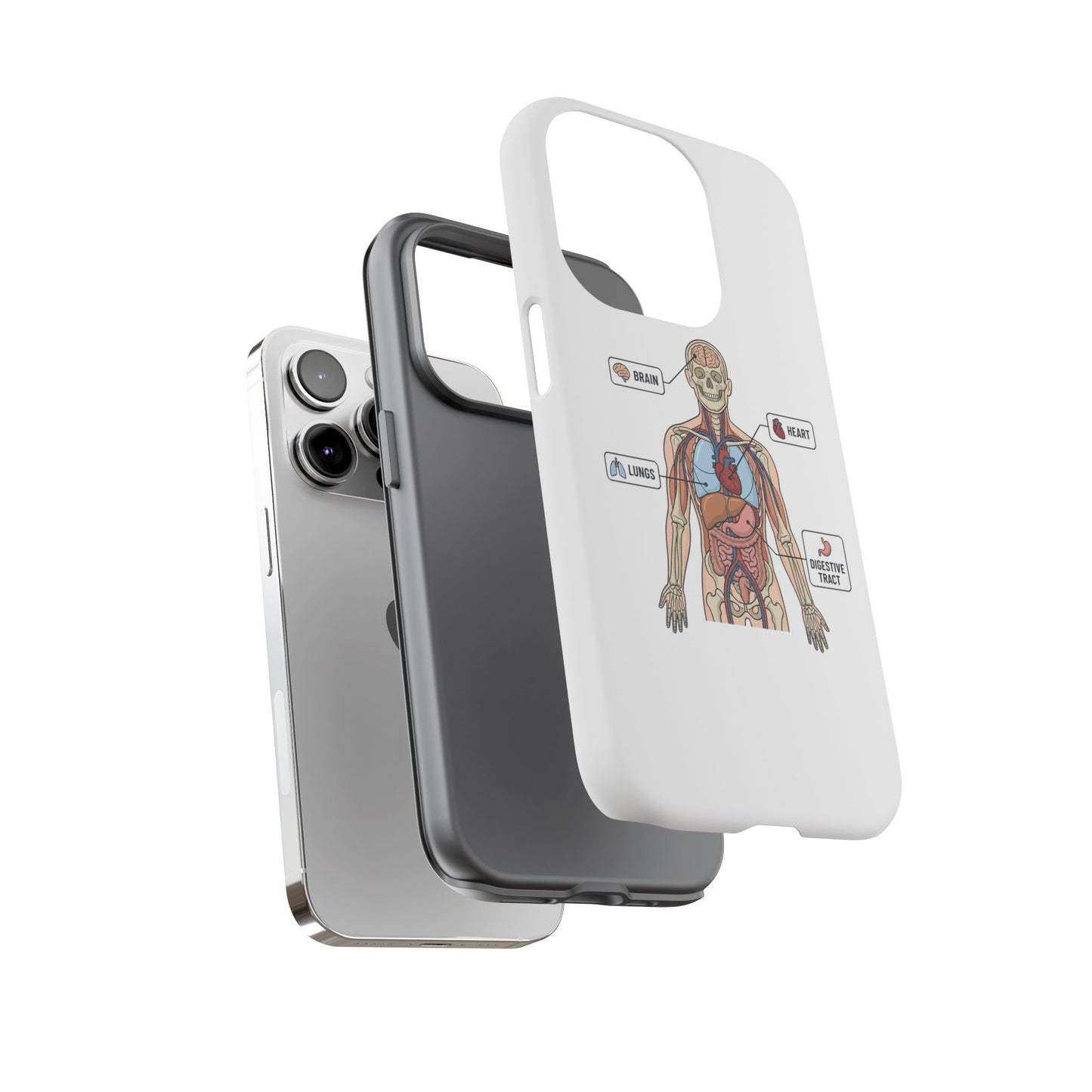 Anatomy Case — Medical Student Human Anatomy Study Aid