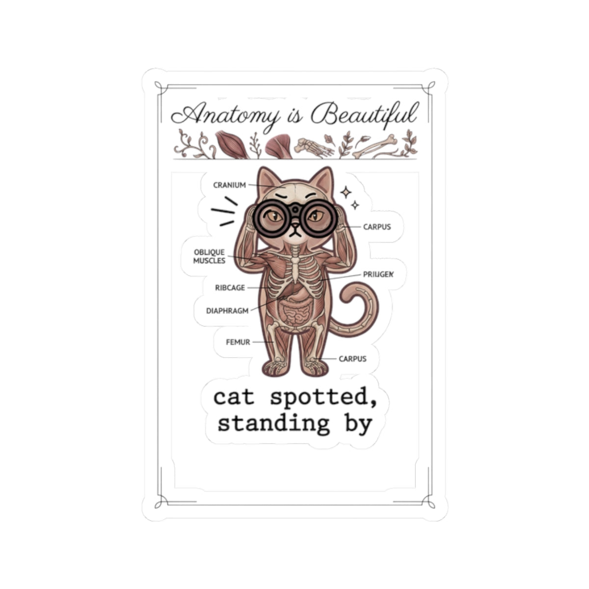 Anatomy Cat Illustration Kiss-Cut Stickers | Cat-Centric Novelty, Whimsical Anatomy