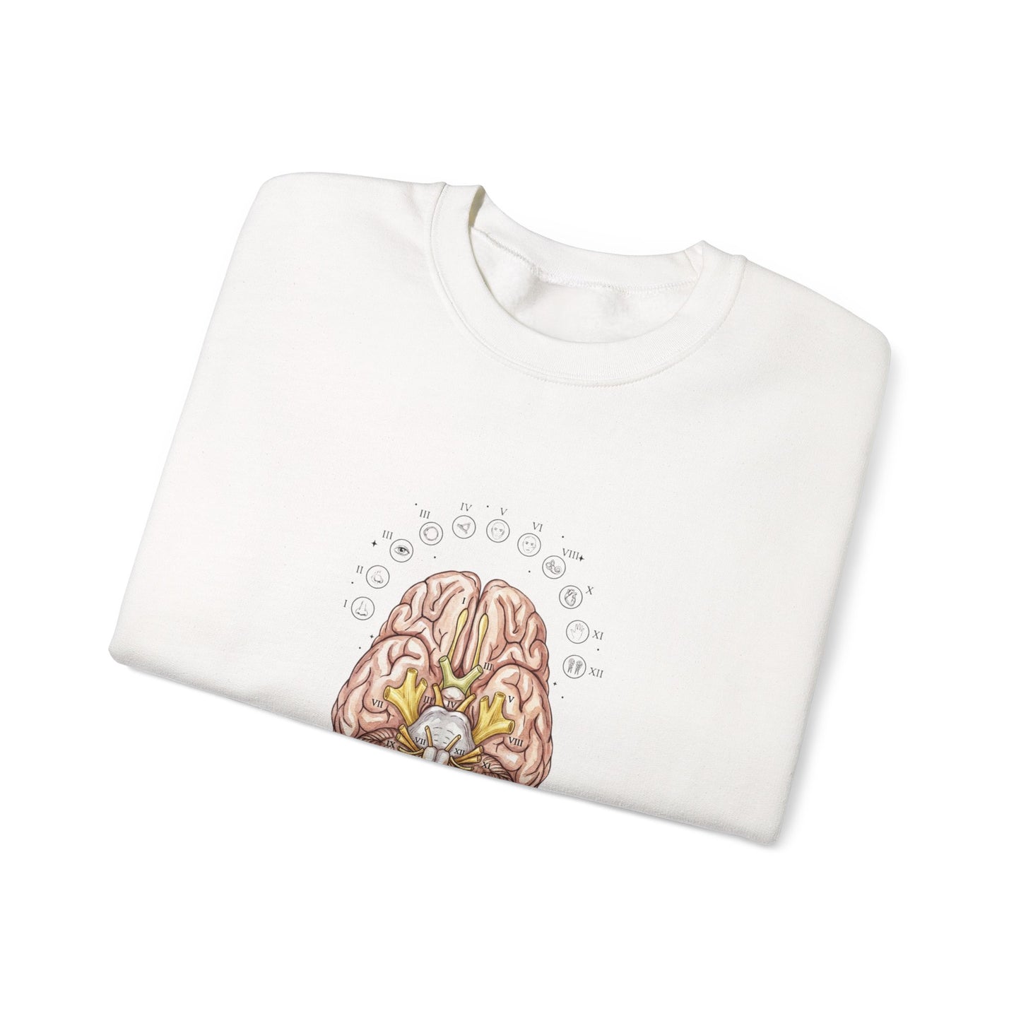 Anatomical Brain Botanical Sweatshirt | Birth Flower, Botanical Anatomy