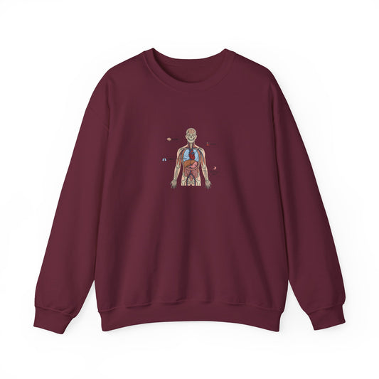Anatomy Study Crewneck Sweatshirt — Human Anatomy Diagram for Medical Students
