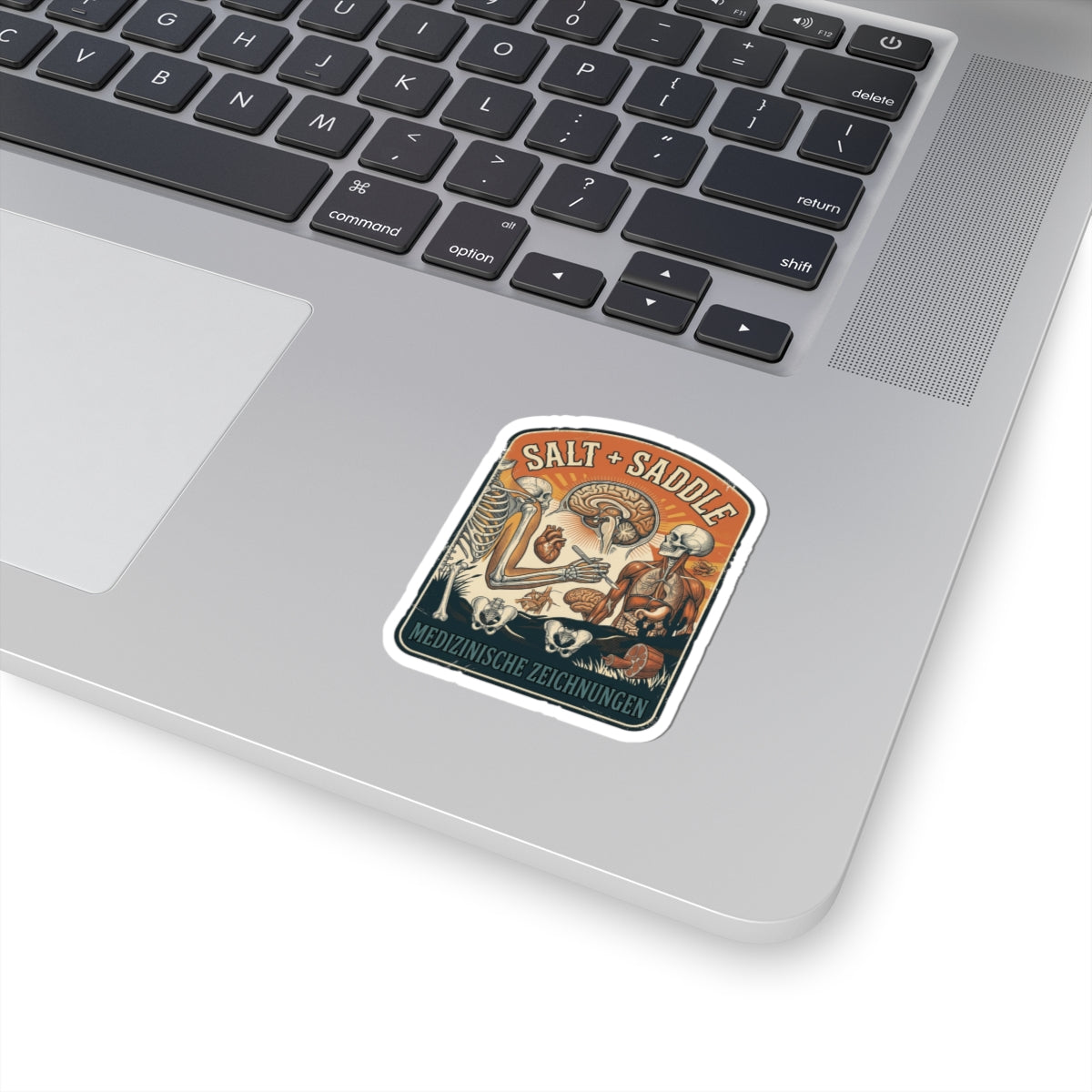 Salt & Saddle Anatomy Sticker | Country Aesthetic Western Cowgirl